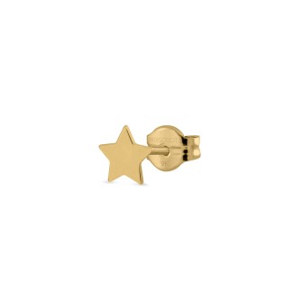 STAR EARRING